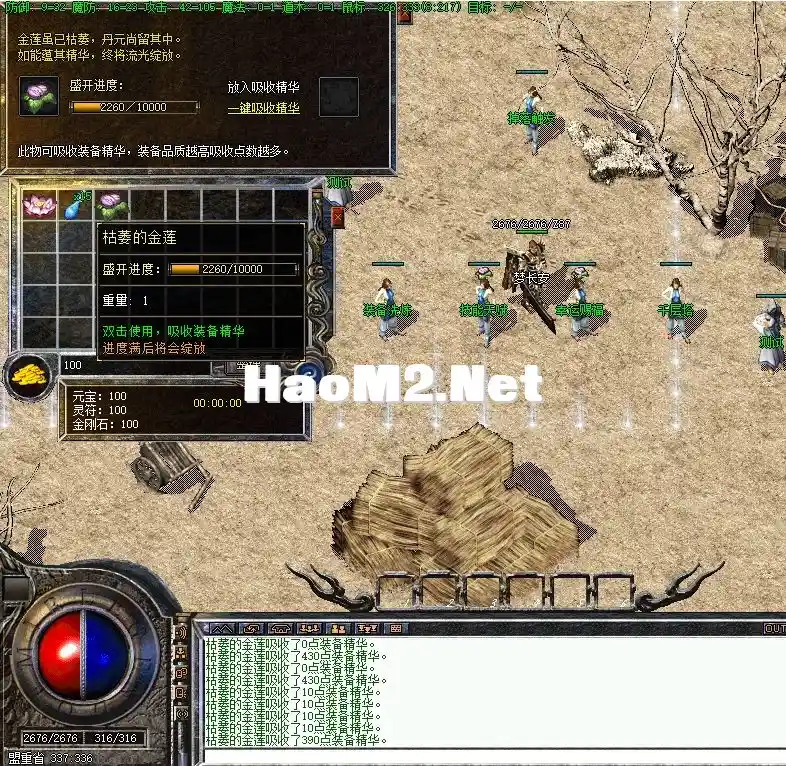 image.webp
