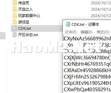 QQ20241012-181651.webp
