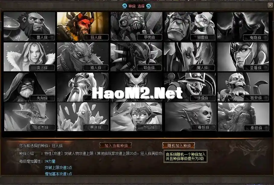 4.webp