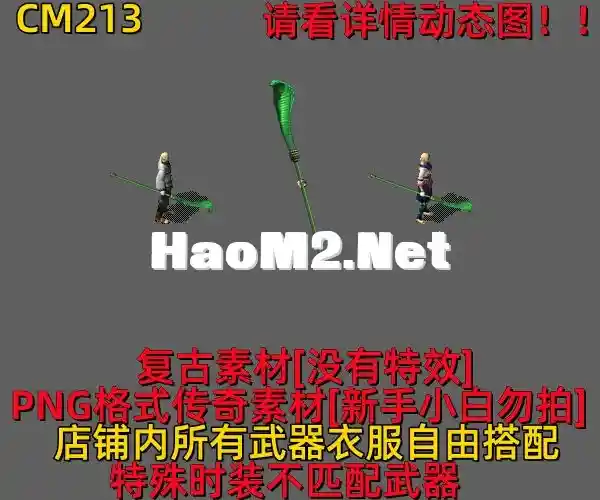 CM213.webp