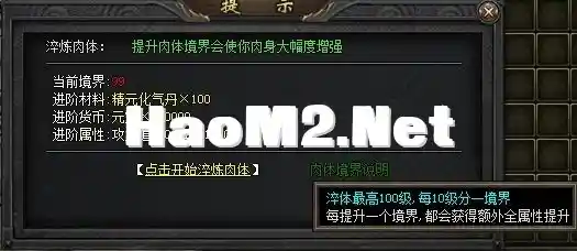 7.webp