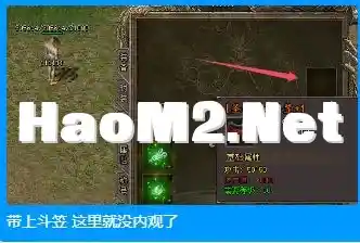 image.webp