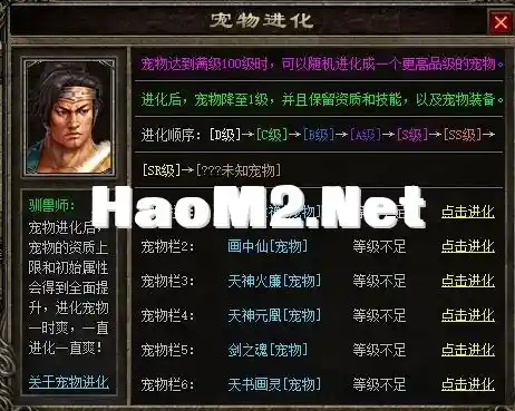 7.webp
