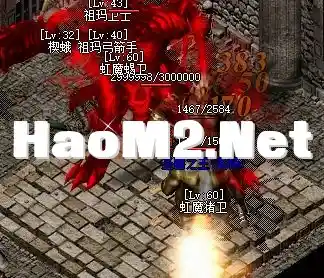 QQ图片20250131141003.webp