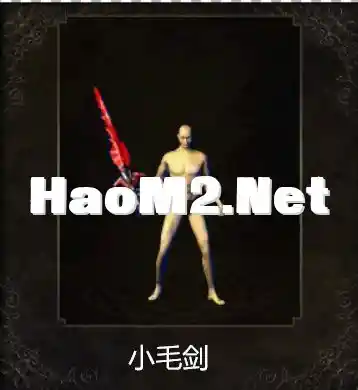 小毛.webp