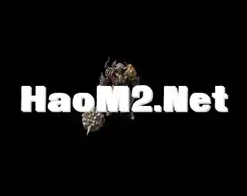 231742tckw5yolhlzzkcqo.webp
