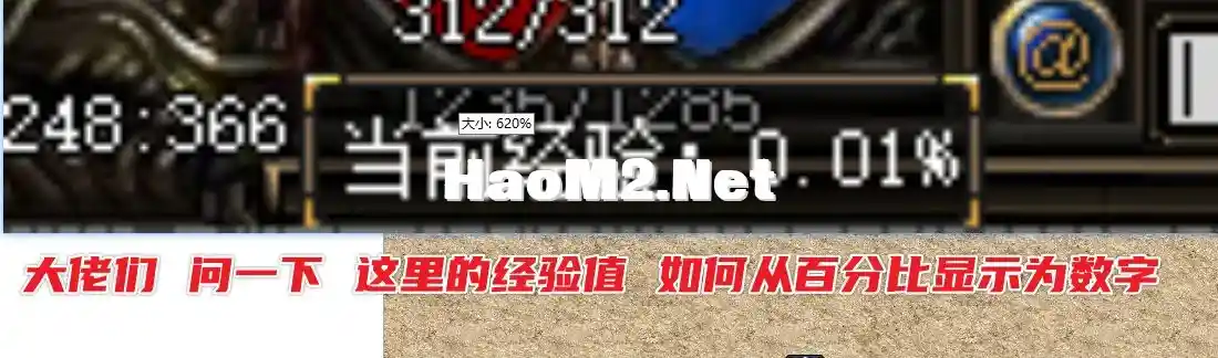 image.webp