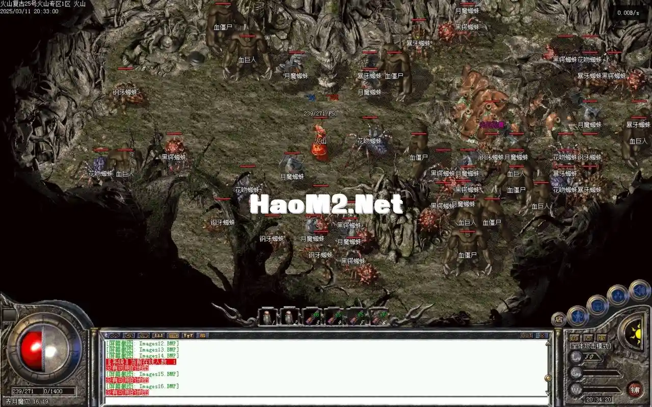 Images17.BMP.webp