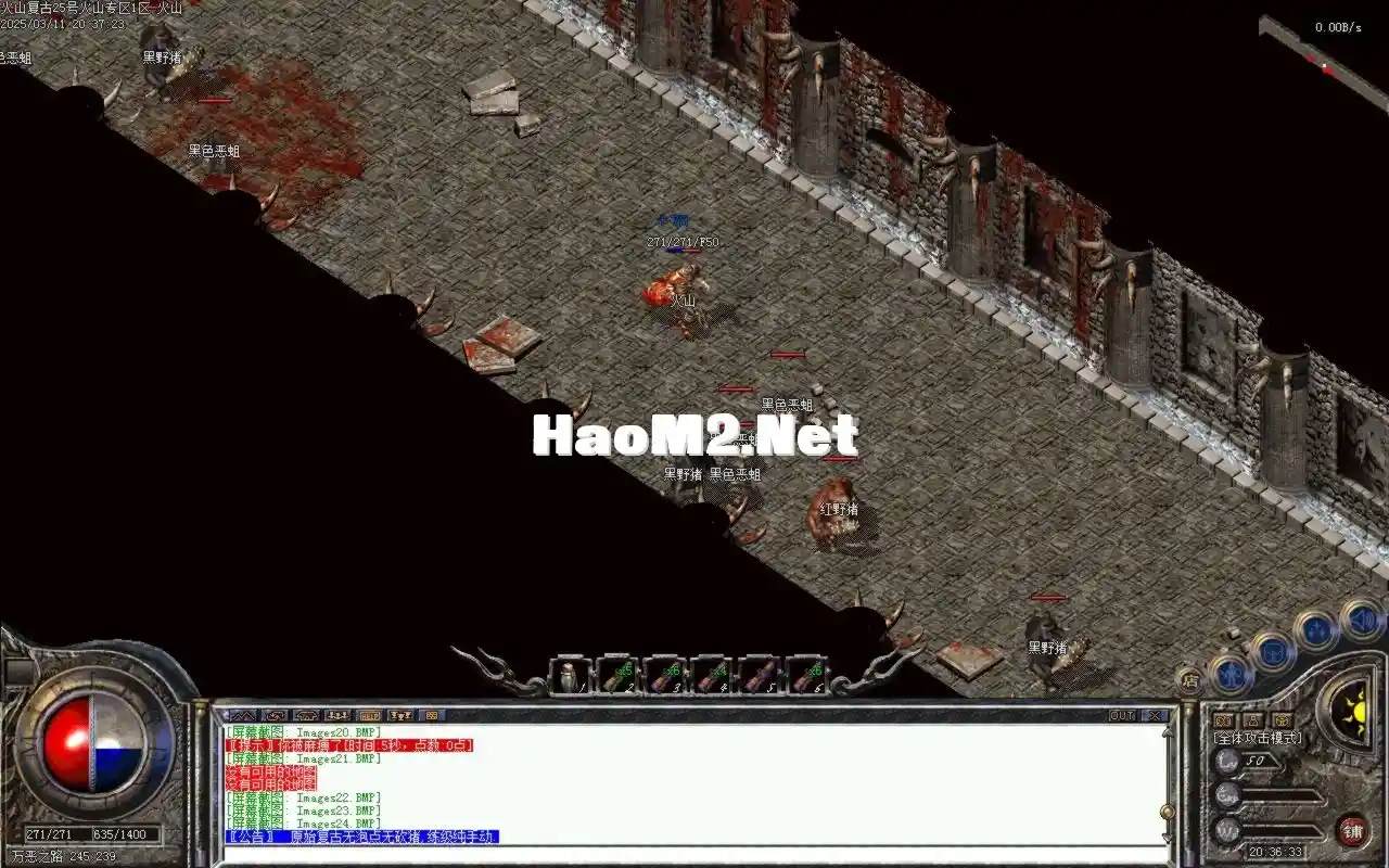 Images25.BMP.webp