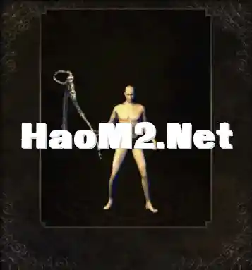 2.webp