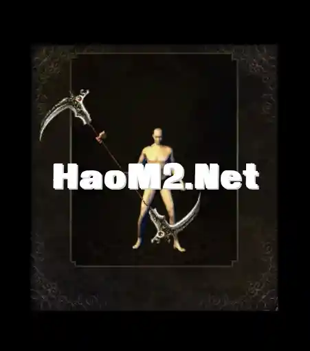 4.webp