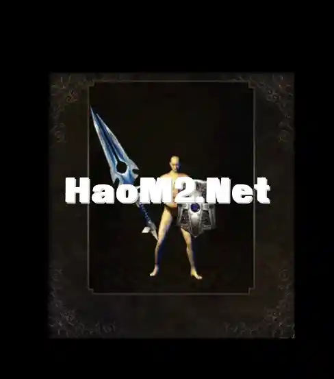 5.webp
