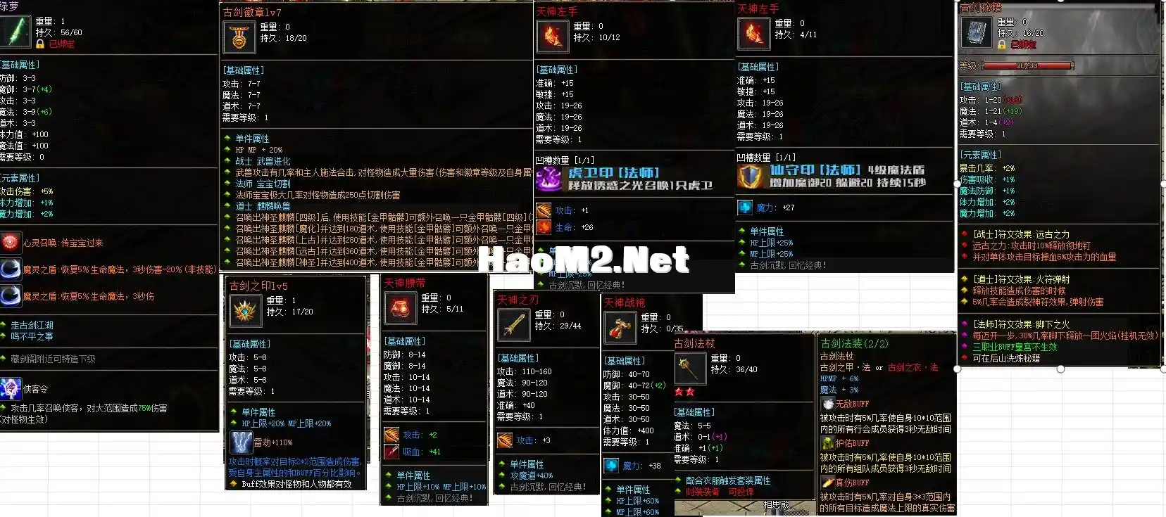 13.webp