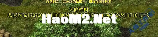 15.webp