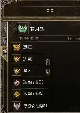 被查看的玩家界面