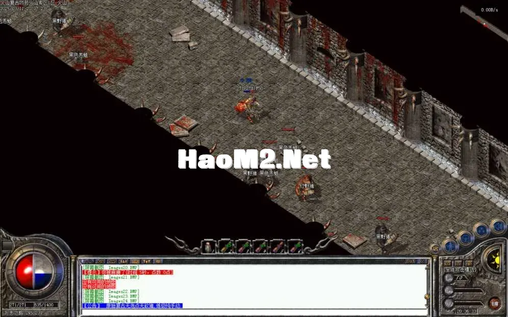 Images25.BMP.webp