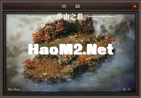 6.webp