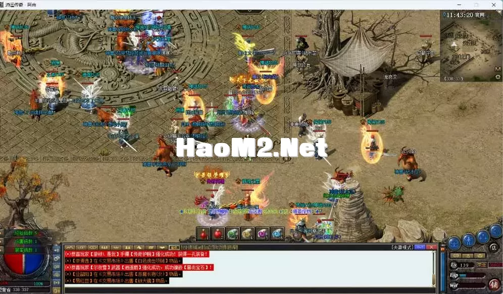 09.webp