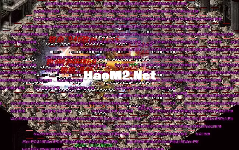 QQ_1746769546922.webp