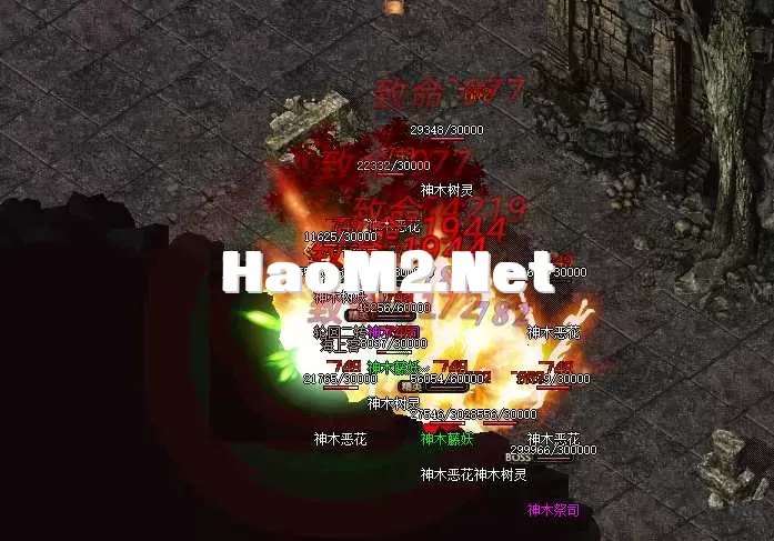 QQ_1746769830544.webp
