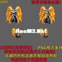Y6045