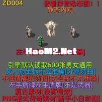 ZD004 左手盾牌