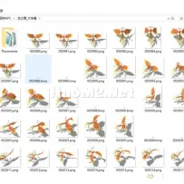 2025龙之国怪物_整理过的